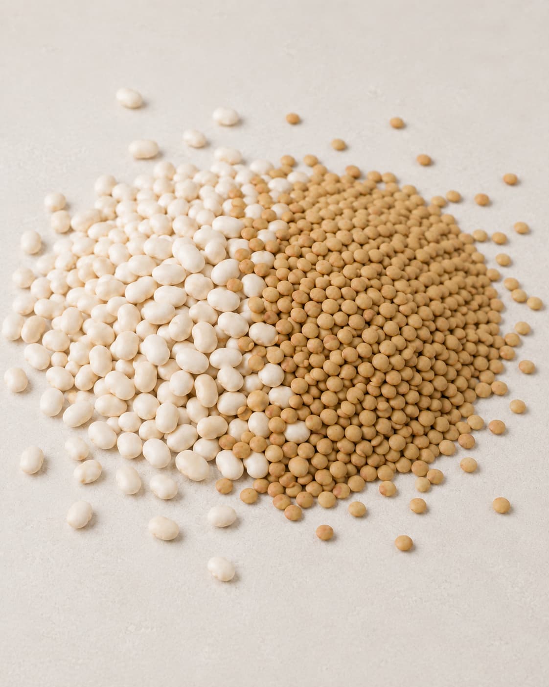 Pulses commodity sourcing